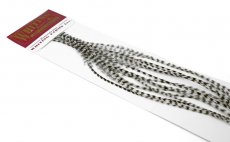 Rooster Hackles Whiting 100 Pack - Size 6