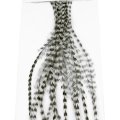 Rooster Hackles Whiting 100 Pack - Size 6