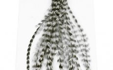 Rooster Hackles Whiting 100 Pack - Size 6