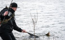 Spinning Reel Shimano Nasci FC - In Action