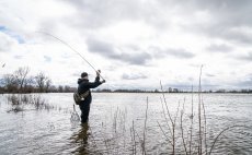 Spinning Reel Shimano Nasci FC - In Action