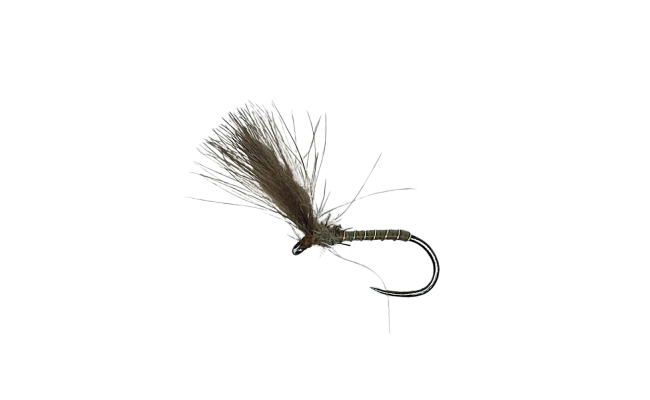 CDC Shuttlecock Olive B/L CDC Shuttlecock Olive B/L, Size 12