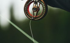 Fly Reel Guideline Fario Bronze - In Action