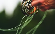 Fly Reel Guideline Fario Bronze - In Action
