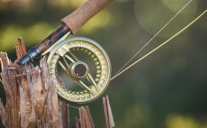 Fly Reel Guideline Fario Champagne - In Action