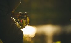 Fly Reel Guideline Fario Champagne - In Action