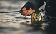 Fly Rod Guideline LPX Coastal