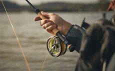 Fly Rod Guideline LPX Coastal