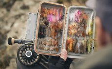 Fly Rod Guideline LPX Coastal