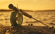 Fly Rod Guideline LPX Coastal