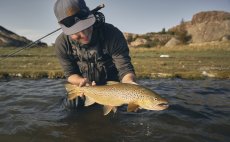 Fly Rod Guideline LPX Coastal