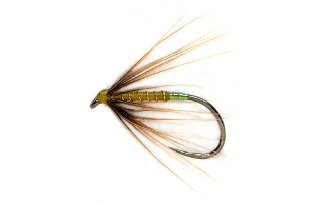 Procter's Pearly Butt Greenwells B/L Procter's Pearly Butt Greenwells B/L, Size 14