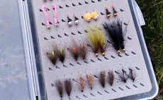TOP Universal River Flies - Fly Selection
