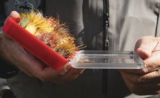 Fly Box Fulling Mill Streamer Box - In Action