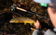 Fly Fishing Set - Guideline Embrace Euro Nymph SH