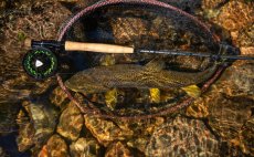 Fly Fishing Set - Guideline Embrace Euro Nymph SH