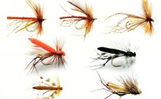 Must Have Daddy Long Legs Fulling Mill - Fly Selection
