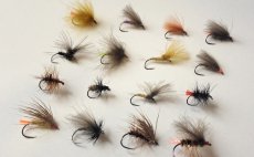 Ultimate River Dry Flies - Fly Selection