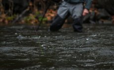 Mono Indicator Fulling Mill 30 m