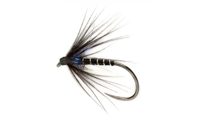 Procter's Ice Thorax Black Spider B/L Procter's Ice Thorax Black Spider B/L, Size 14