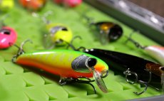 Spinning Lures Set 3STAN Brown Trout