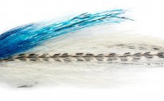 Daz's Blue & White Deciever