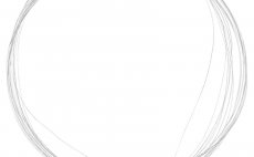 Nylonov mukask nvazec se smykou Leichi ujman 2,30 m - Prmr 0,22 mm