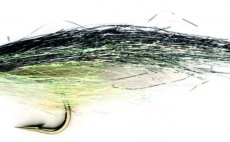 Los Roques Minnow Grey