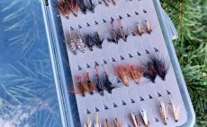Need a rehaul of the wet flies I use on rivers