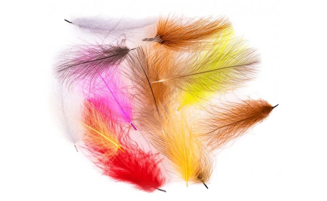 CDC Feathers Quill & Fly CDC Feathers Quill & Fly White