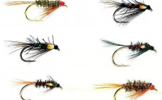 Must Have Diawl Bachs Fulling Mill - Fly Selection