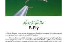 Flytying For Beginners - Preview The Book