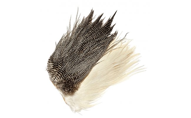 Genetic Cock Saddles Veniard Grade 2 Genetic Cock Saddles Veniard Grade 2 Grizzly