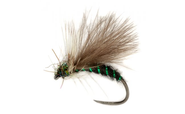 Procter's CDC APT B/L Procter's CDC APT B/L, Size 14