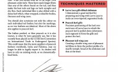 The Feather Bender's Flytying Techniques - Preview The Book