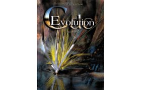 CDC Evolution CDC Evolution in English