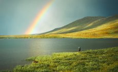 Fly Rod Guideline LPX Tactical