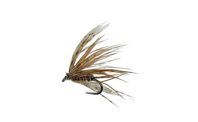Wet March Brown PTN Variant B/L Wet March Brown PTN Variant B/L, Size 16